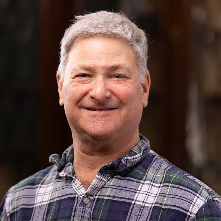 Michael Bergman