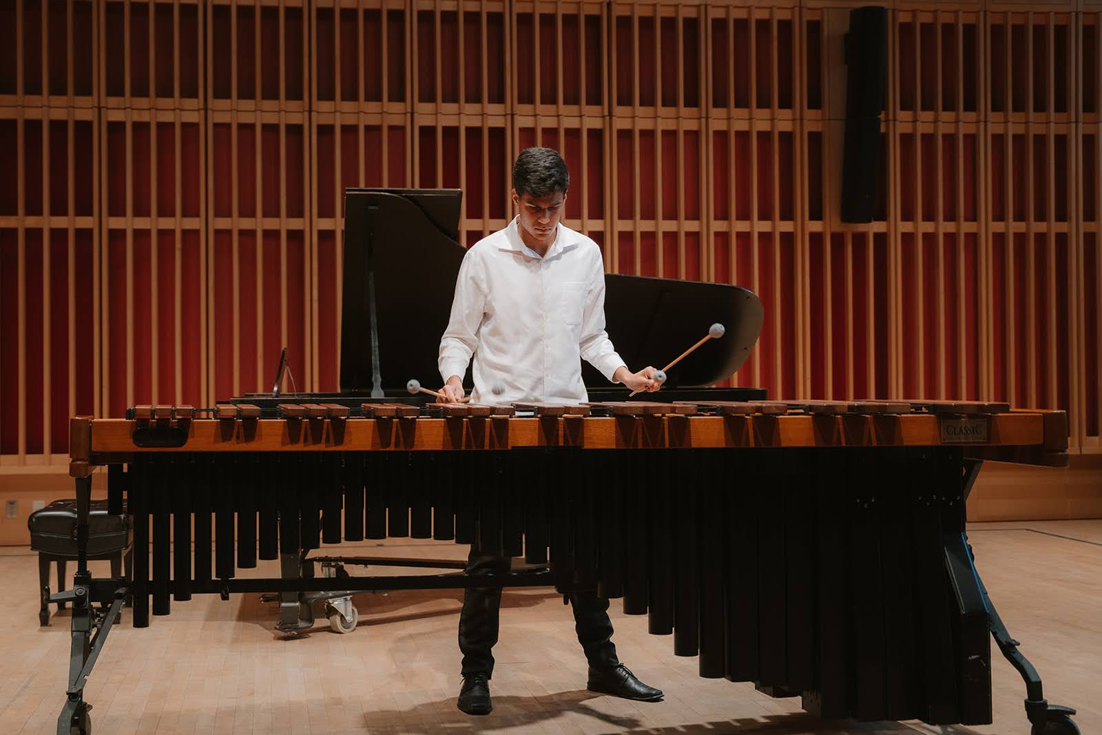 Juan Diego Mora Rubio, percussion