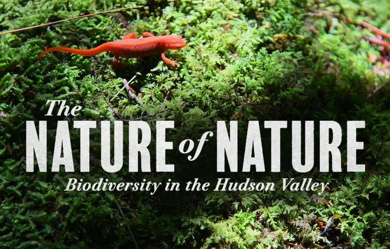 The Nature of Nature: Biodiversity in the Hudson Valley.; Visit https://https://www.bard.edu/news/bard-college-hosts-panel-discussion-and-film-screening-about-biodiversity-in-the-hudson-valley-2026-01-29