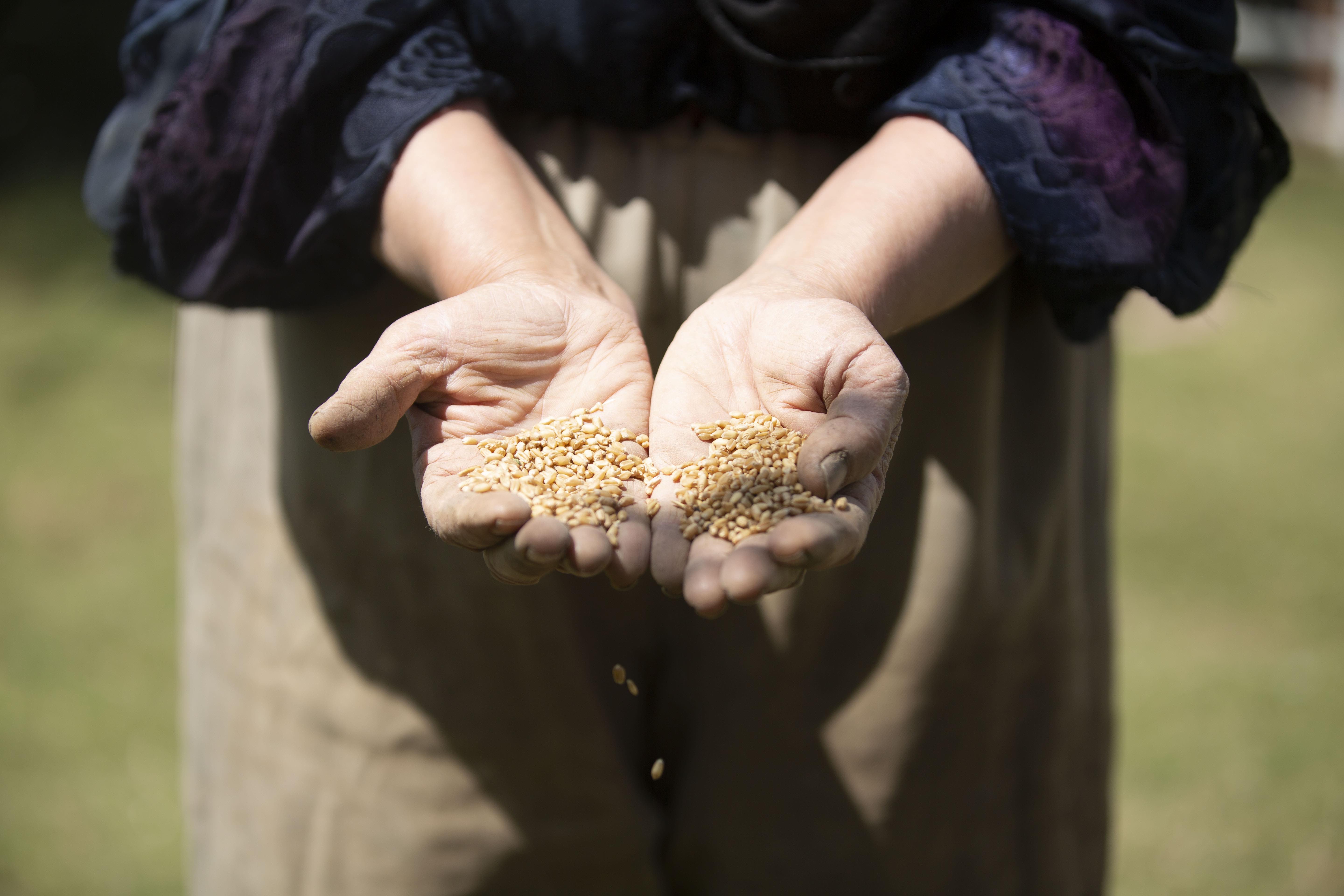 MES Spring Film Series Screening:&nbsp;LAY YOUR TIRED HANDS ON A FULL STOMACH