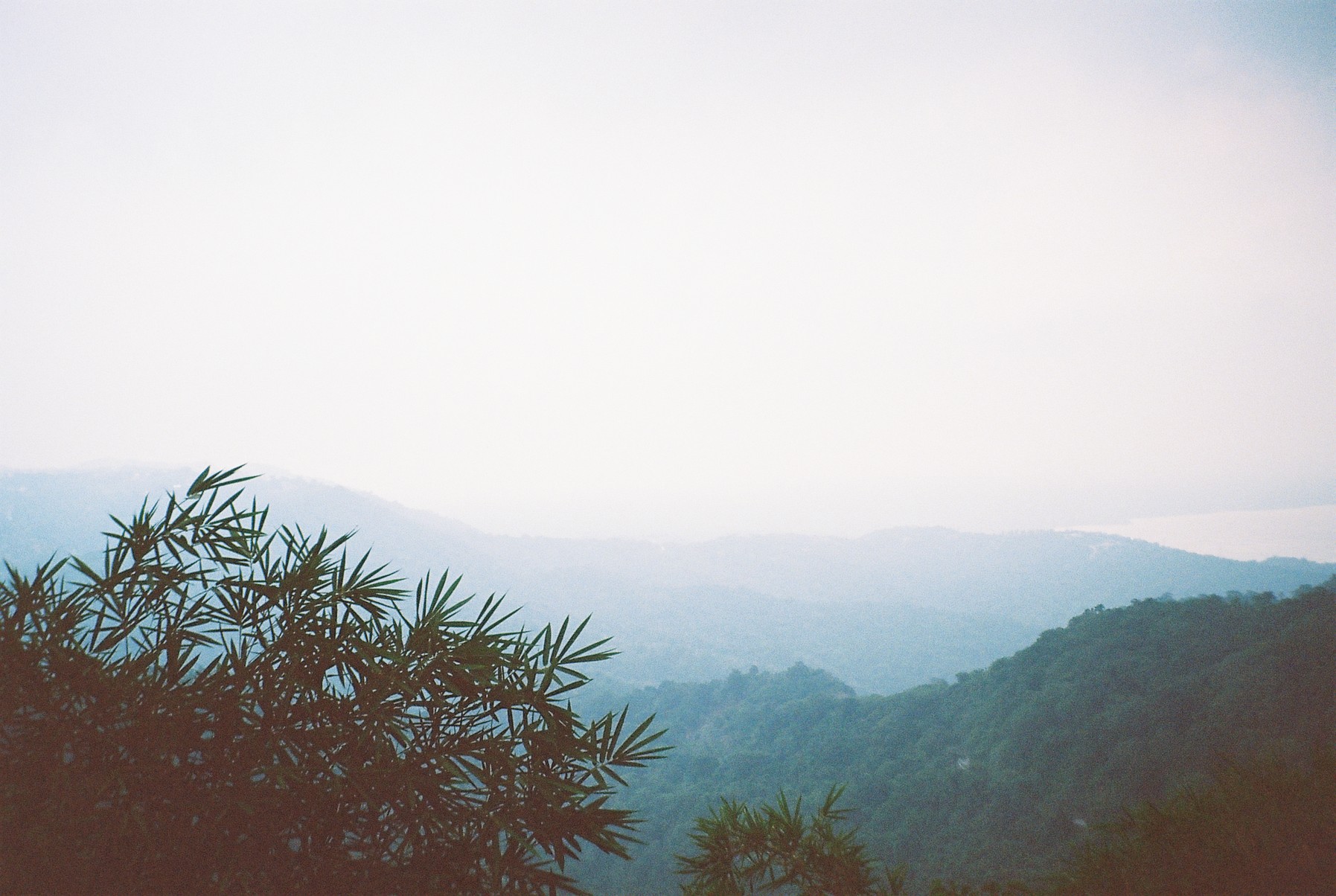 Graduate Degree Recital: Chirbee Dy, mezzo-soprano, with Ella Nagy, piano