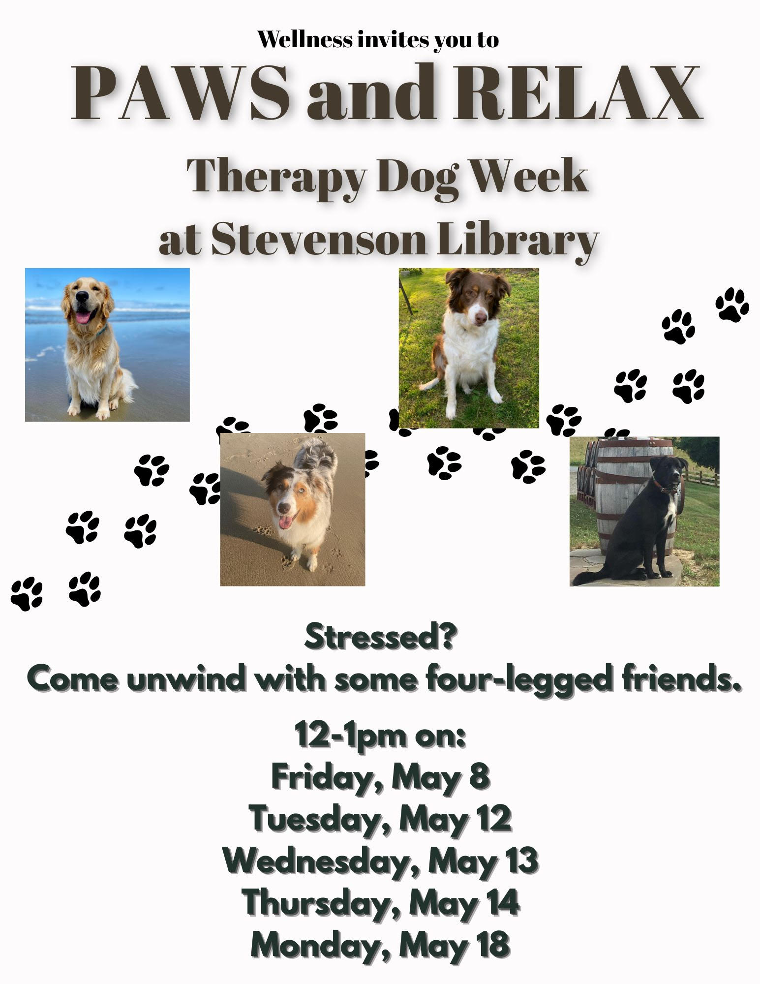 Therapy dog flyer ; Therapy Dogs at the Library