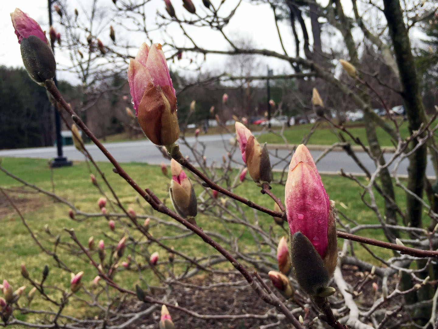 Photo Credit: Erika Nelson