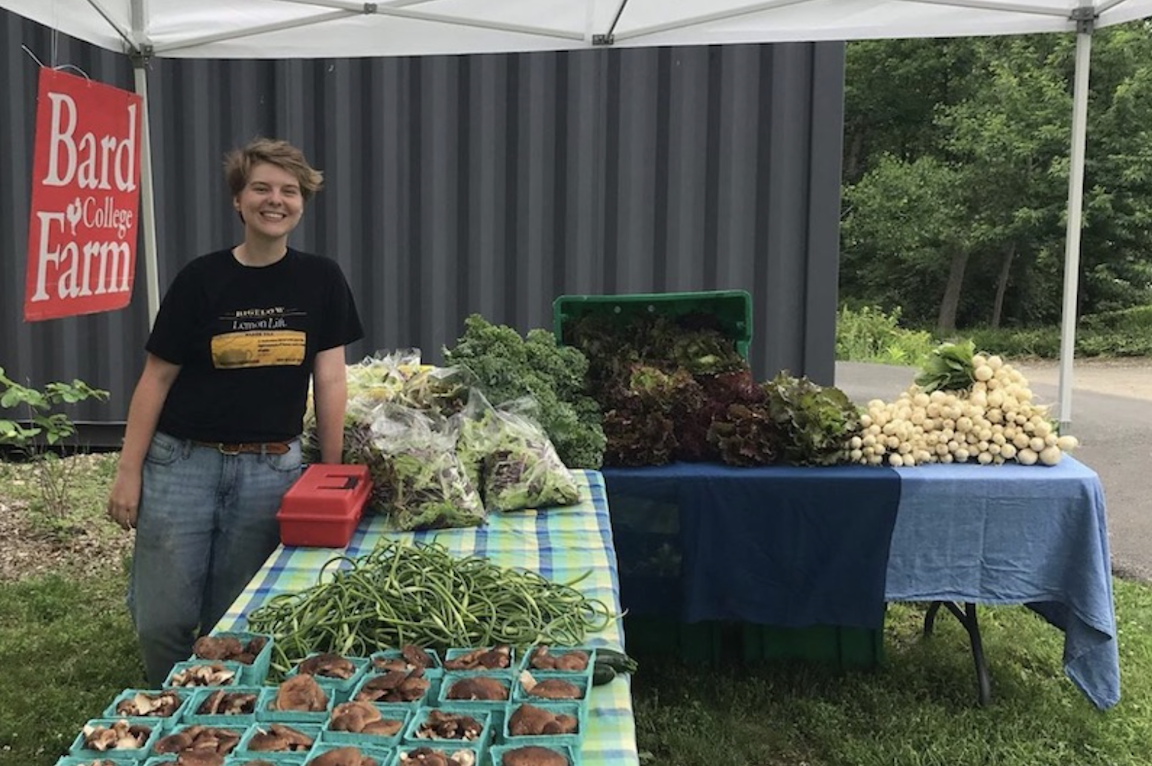 The Bard Farm sells produce grown by Bard students every Thursday in the summer from 12-5pm on campus.