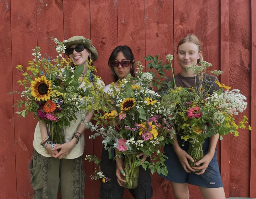 Beautiful flowers from the Bard Farm