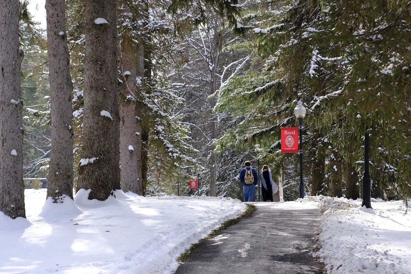 Snow on campus, December 2025. Photo by Danni Chen '26