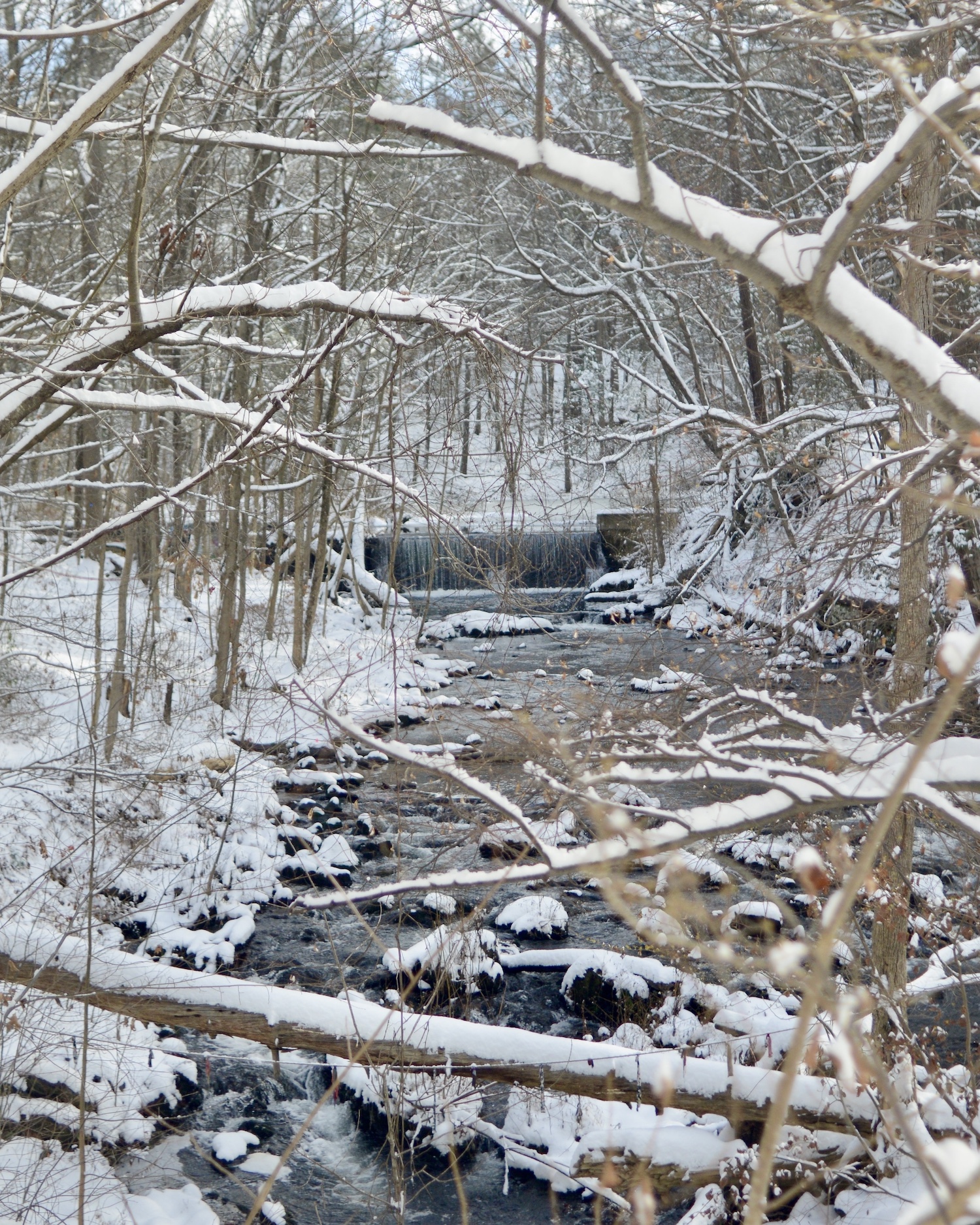 Saw Kill&nbsp;River in Snow. Photo Credit: Danni Chen '26.