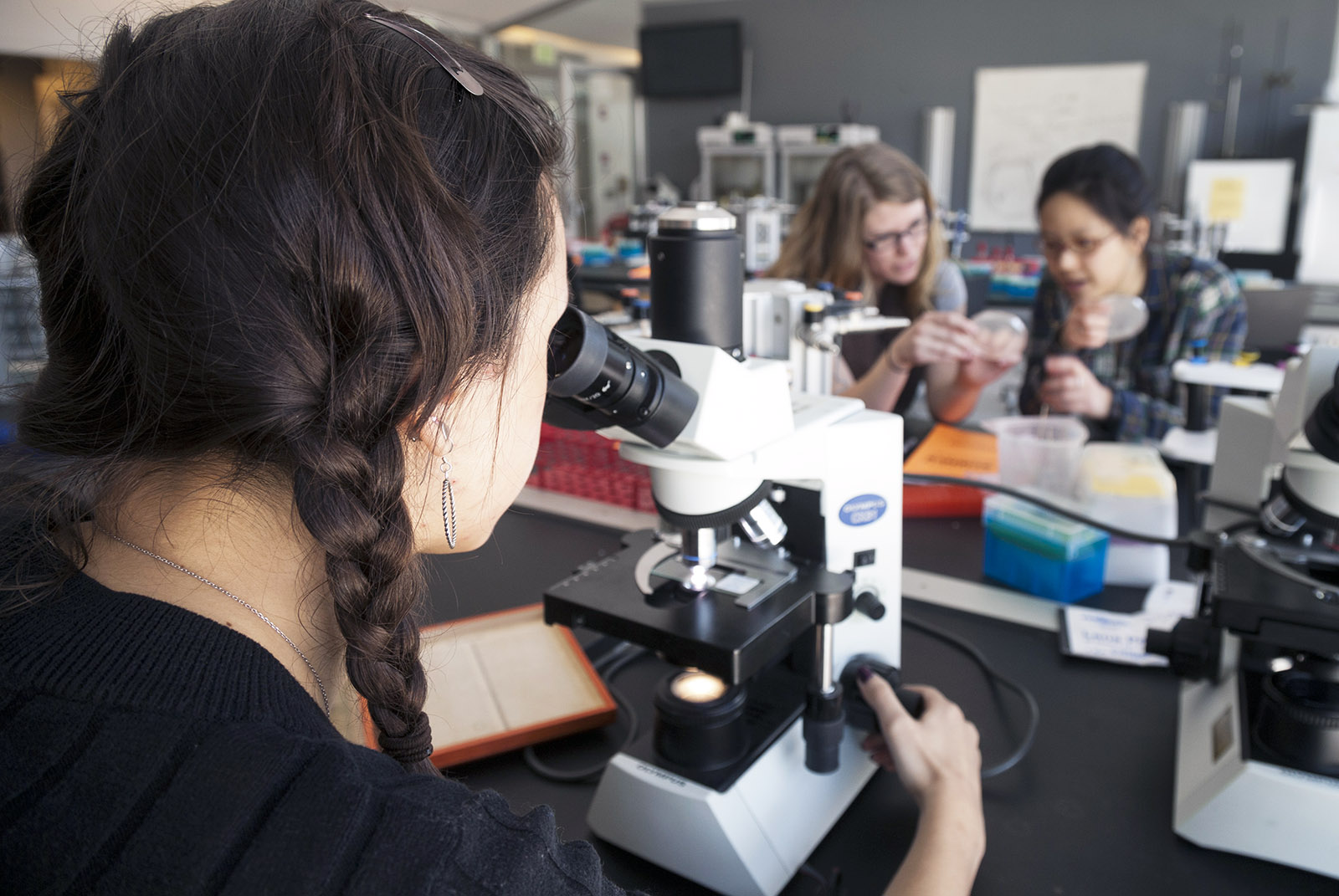 Bard students in the laboratory during Citizen Science. Photo by Pete Mauney '93 MFA '00.