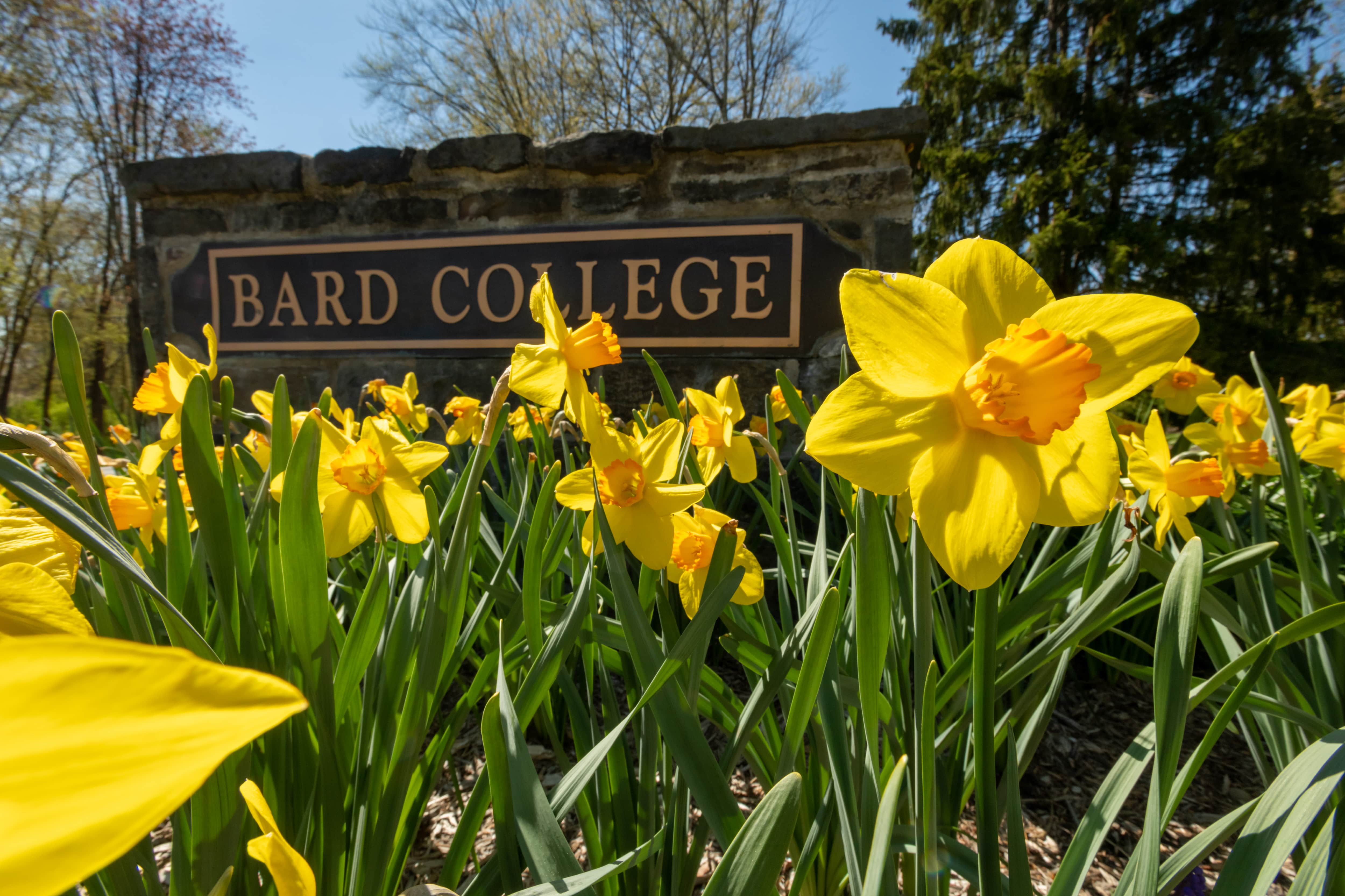 Campus in April. Photo by Karl Rabe