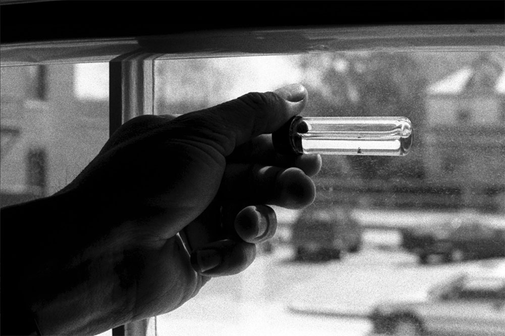 Tick-Control Measures May Not Guard Against Lyme Disease, Finds Professor Felicia Keesing in Results of Four-Year Study - Vimarsana News