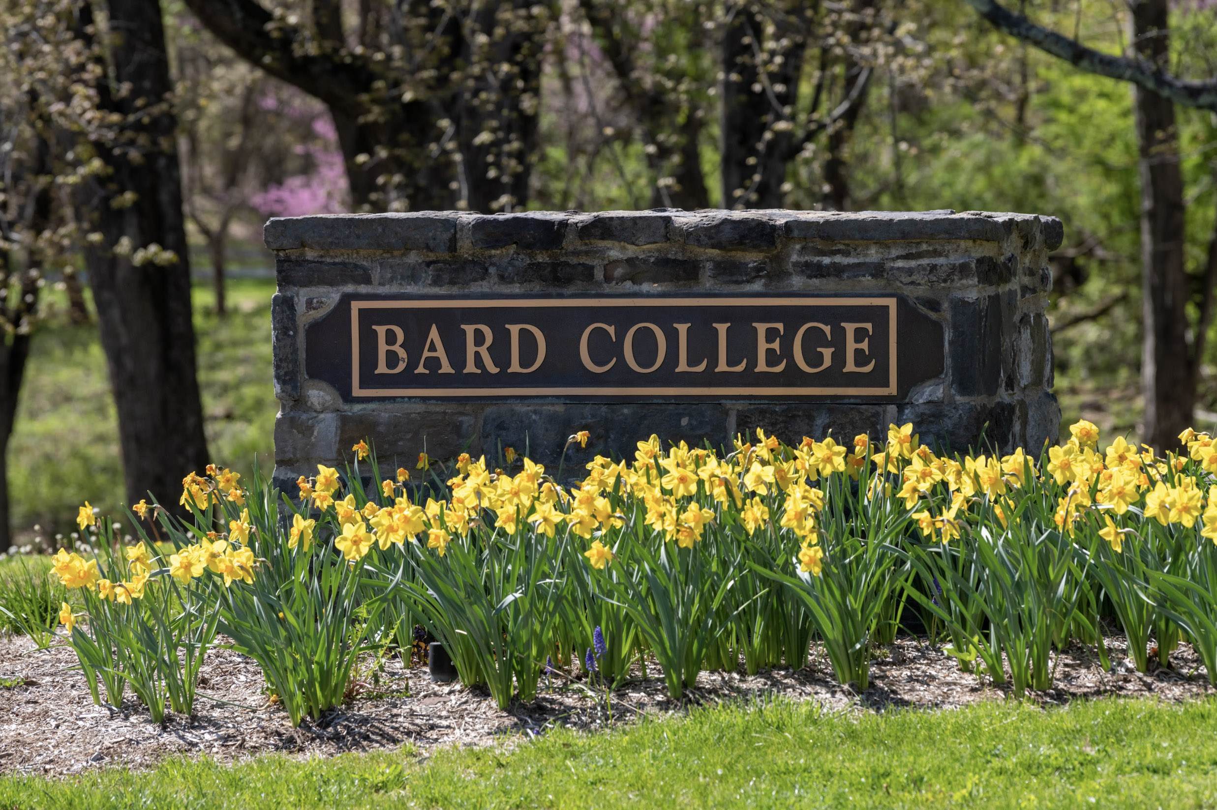 S&amp;P Raises Bard College&#39;s Bond Rating to Investment Grade with a&nbsp;Positive Outlook