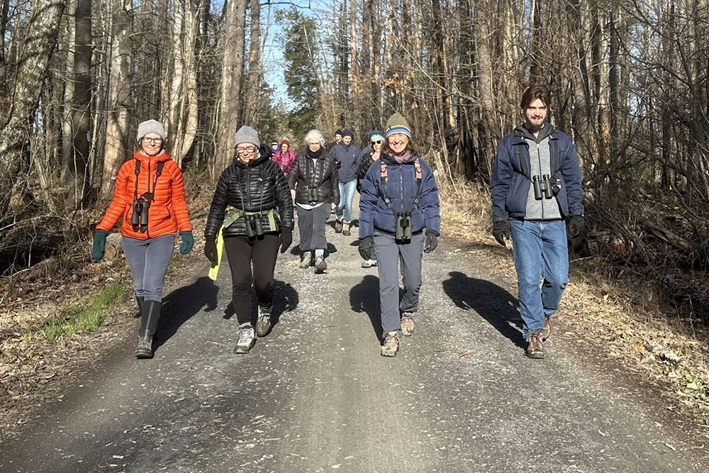 Professor Susan Fox Rogers Leads Community Birding Walks on Cruger Island Road as Profiled in the&nbsp;Daily Catch