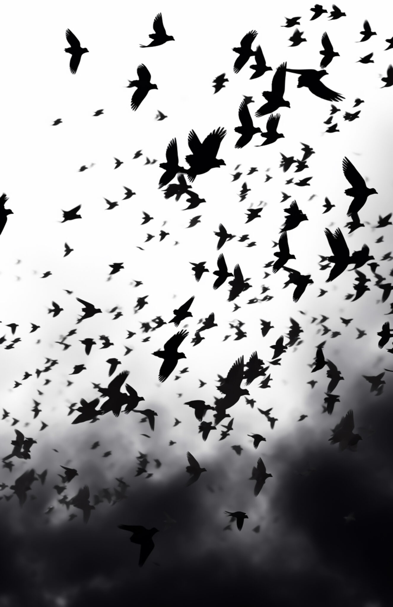 Fisher Center Lab Presents the World Premiere of <em>Suddenly Last Summer</em>, Macarthur Fellow Courtney Bryan&rsquo;s First Work for the Stage, with Libretto by Gideon Lester and Daniel Fish Based on Tennessee Williams&rsquo; Play,&nbsp;June 25-July 19