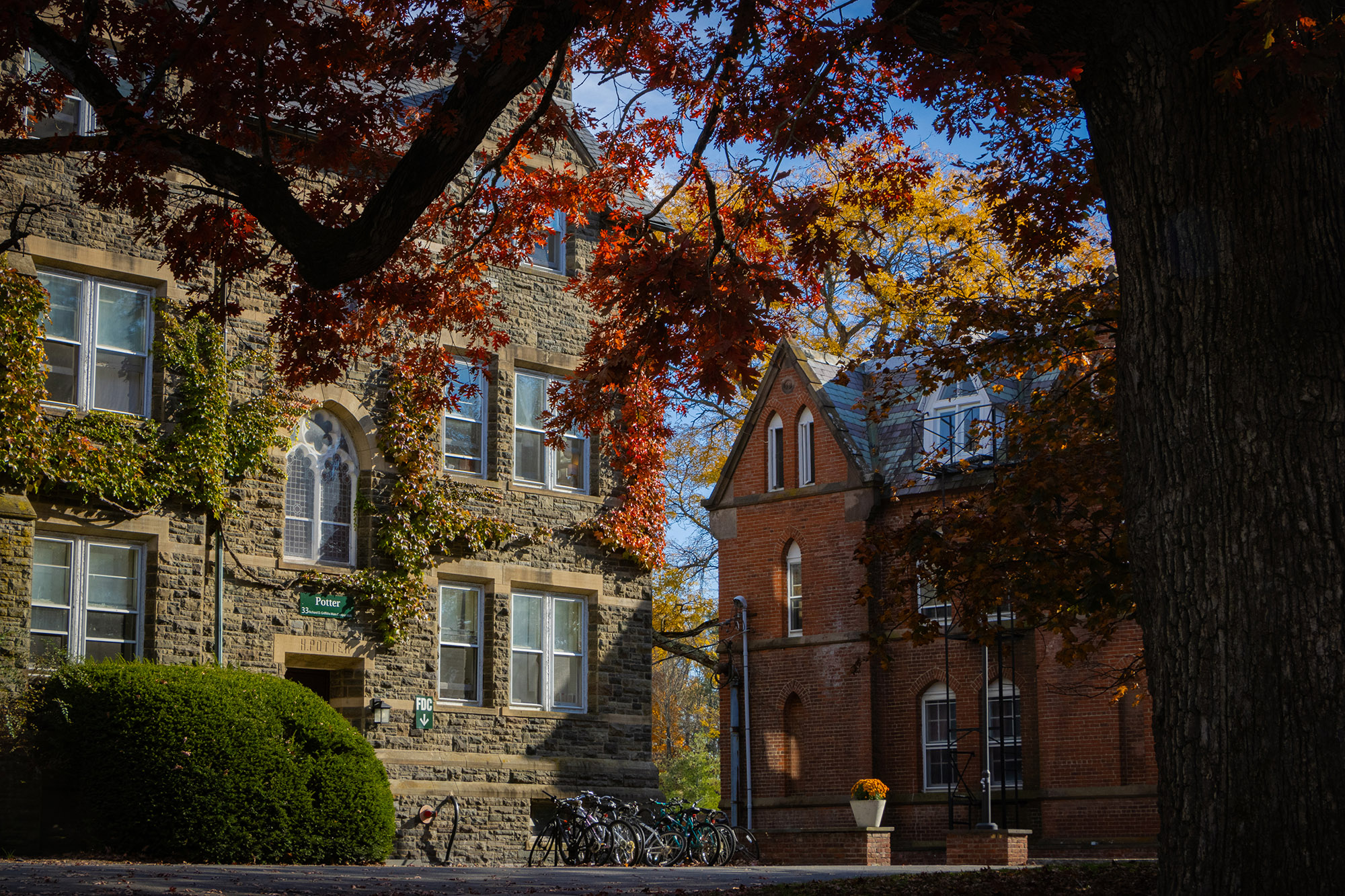 Bard College Joins the Future Universities Alliance
