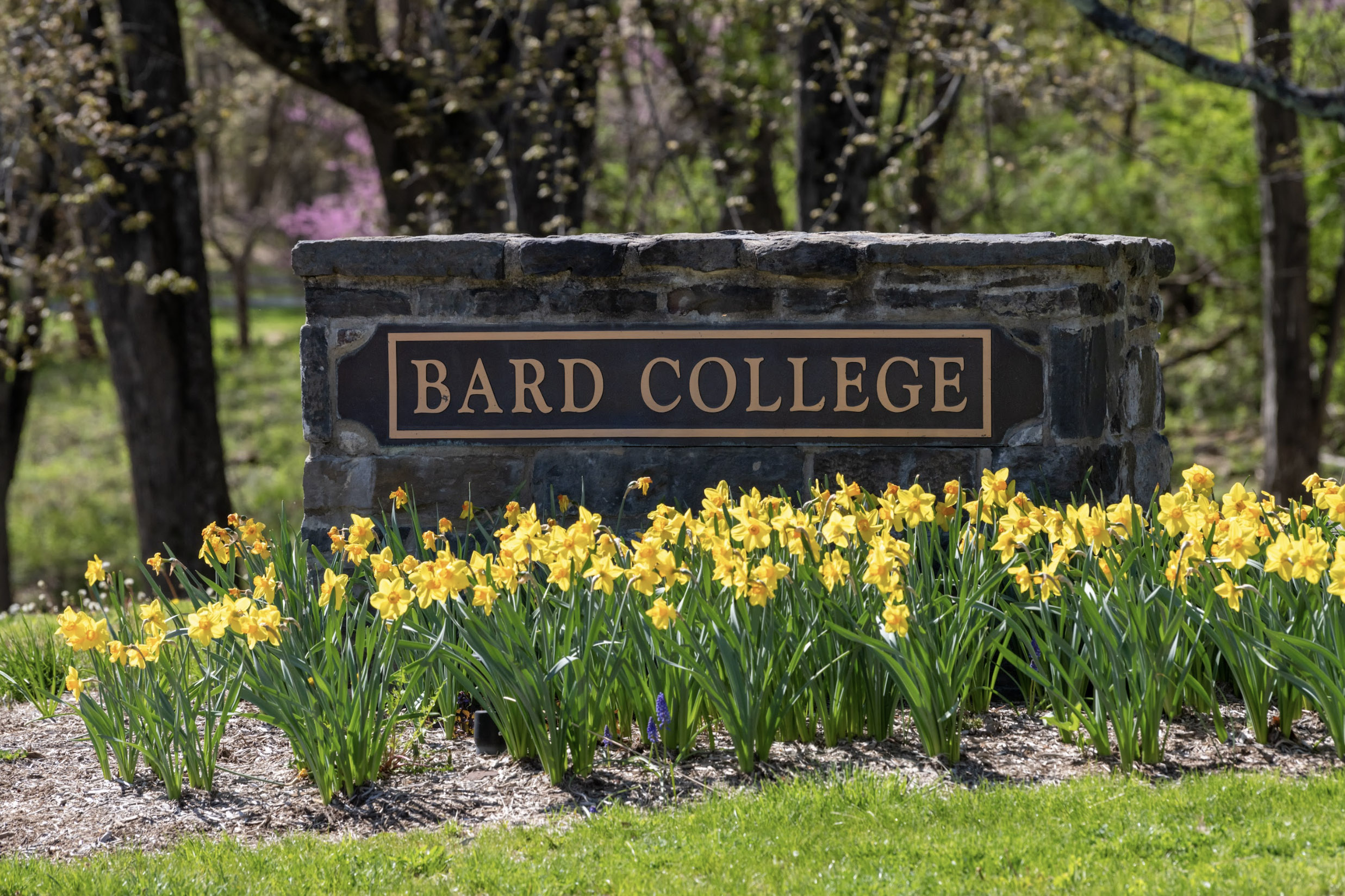 A stone sign that says Bard College.