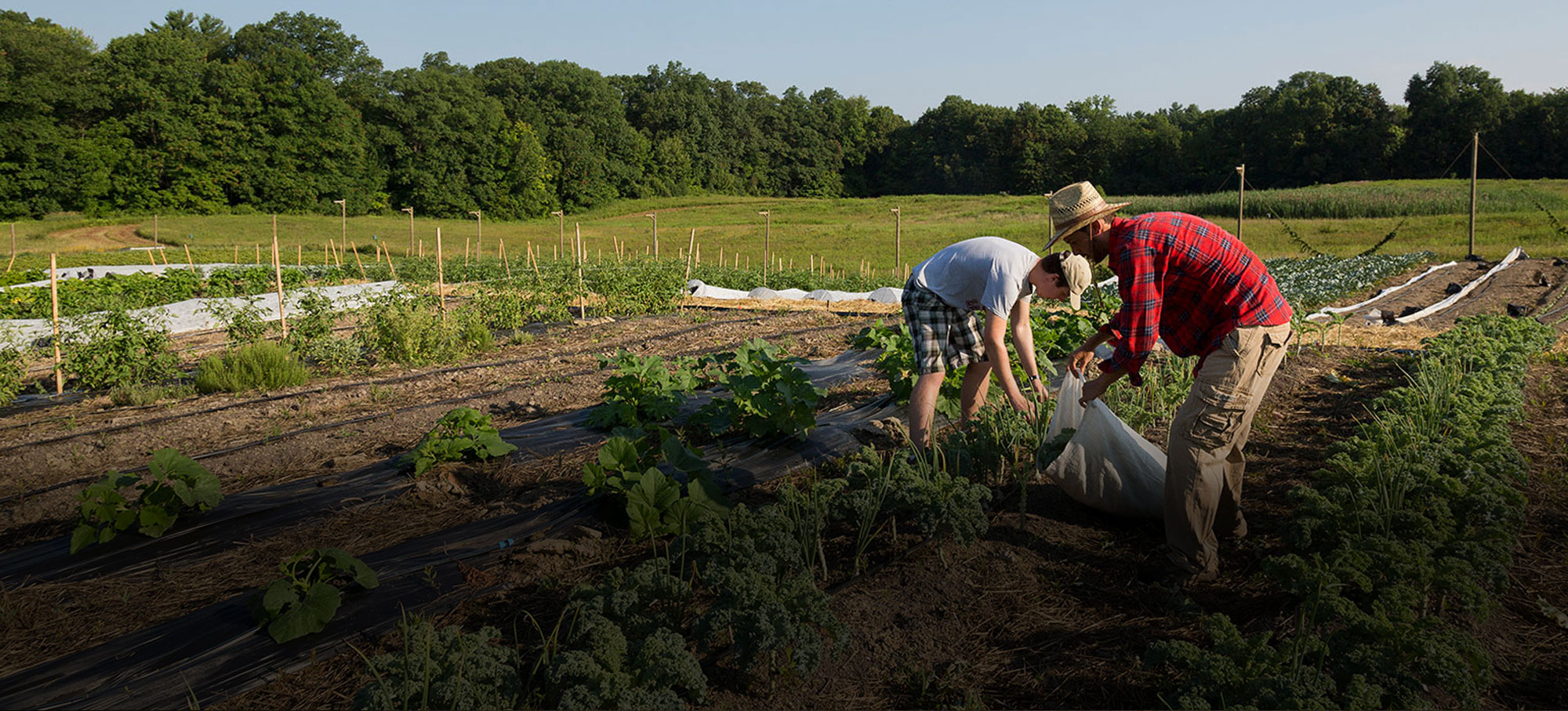 Employment at the Arboretum