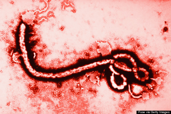 In the News: Ebola