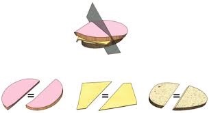 Ham Sandwiches, Pizza Pies, and the Mass Equipartition Problem:An Introduction to Topological Combinatorics