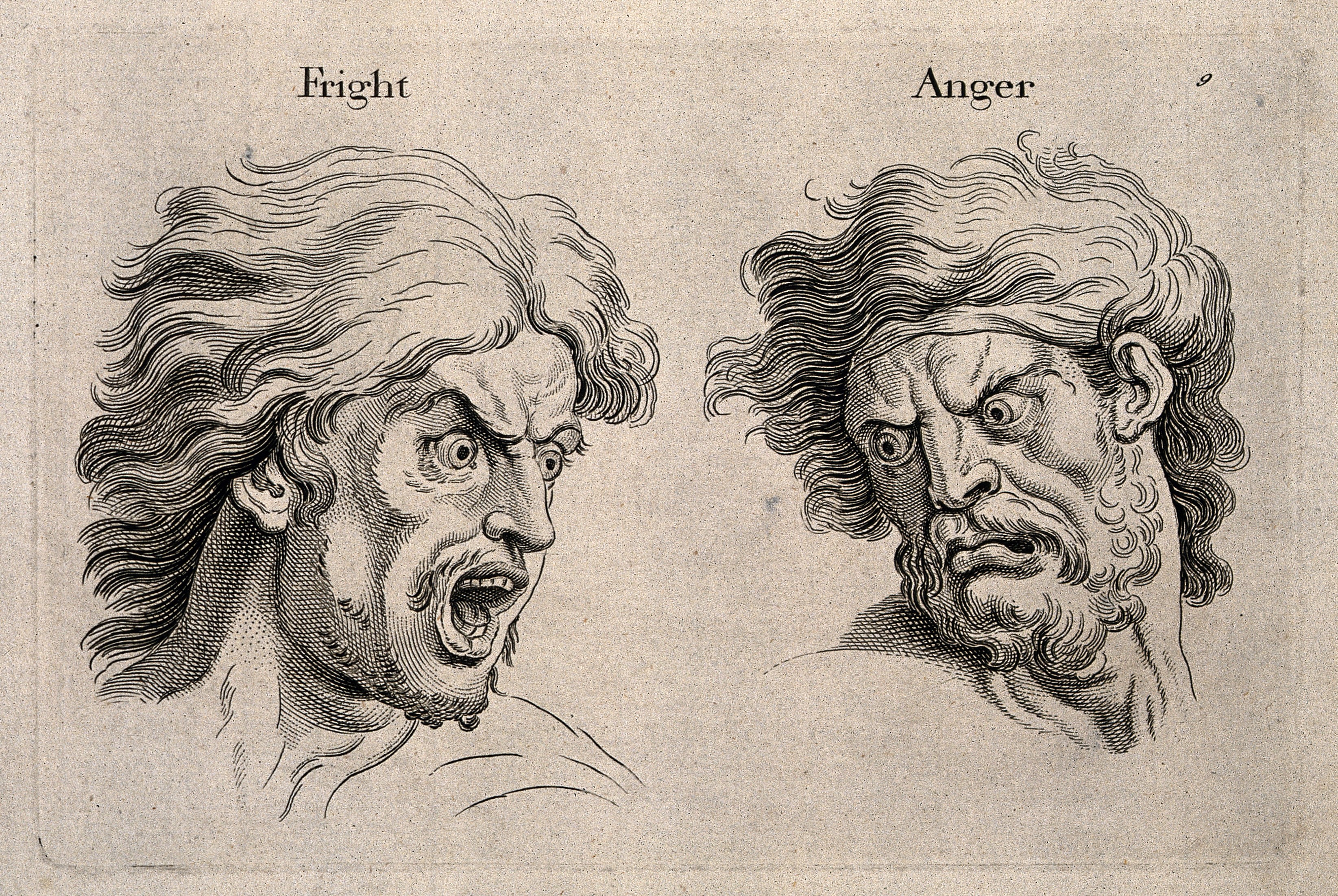 Fear, Anger, and Human Bias