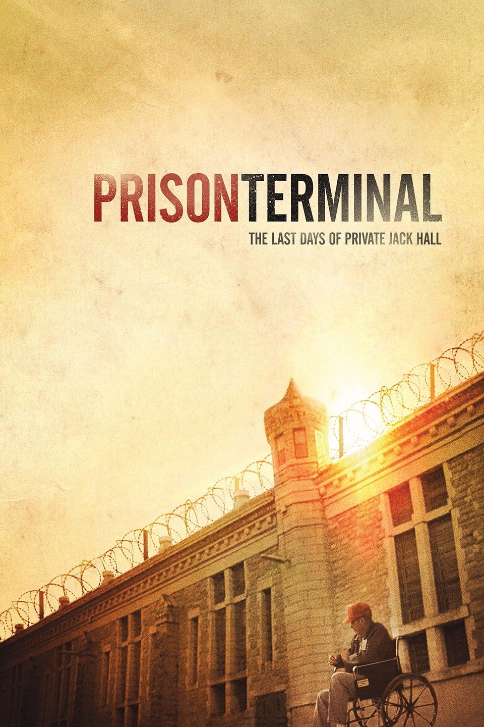 Prison Terminal:&nbsp;The Last Days of Private Jack Hall&nbsp;(2013)