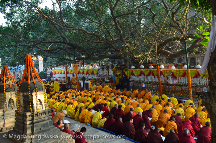 Recently, Under the Bodhi Tree: &nbsp;New Female Ordination in Tibetan Buddhism