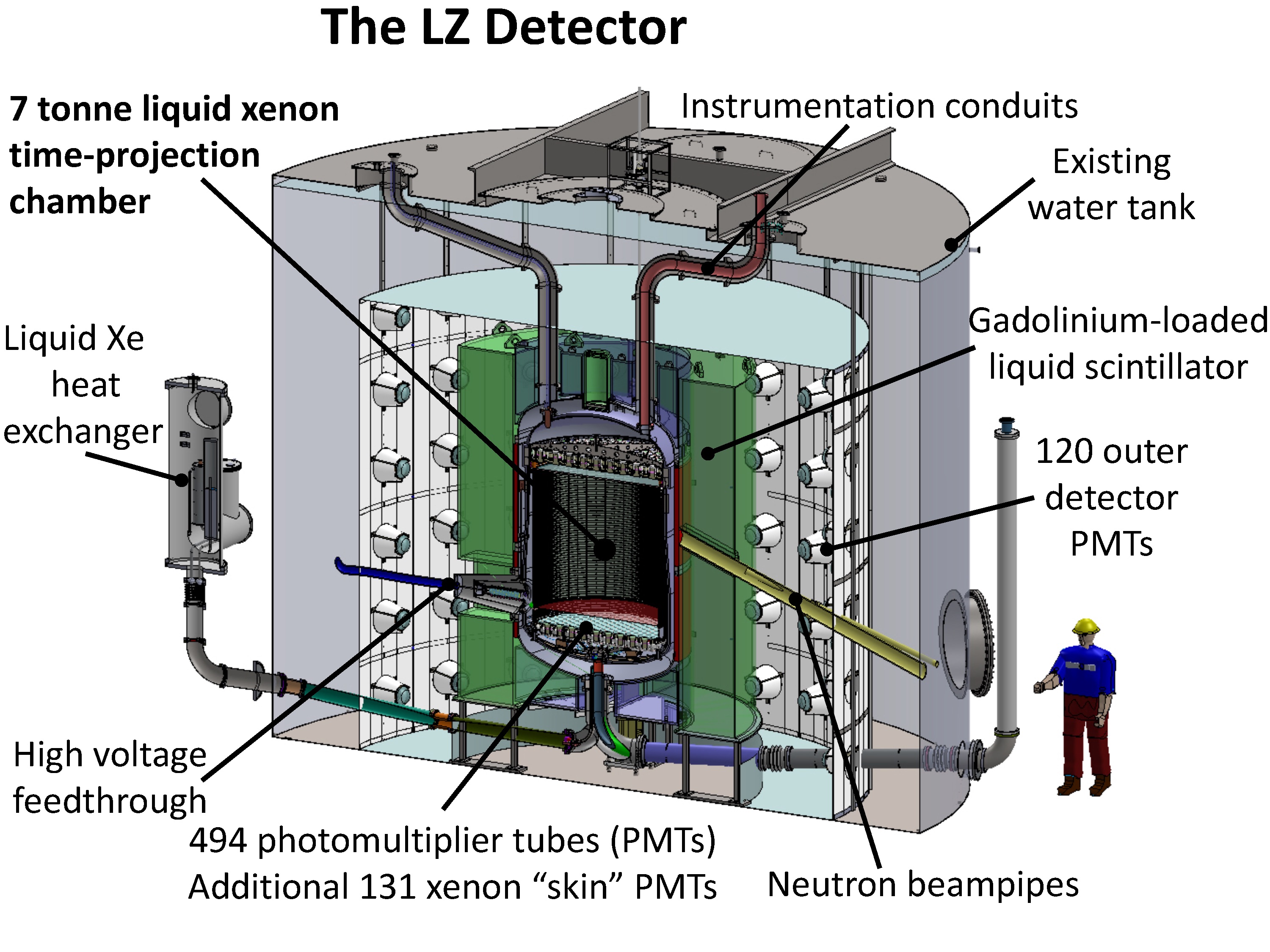 Hunting for Dark Matter with Liquid Xenon Detectors:A Race to Make History