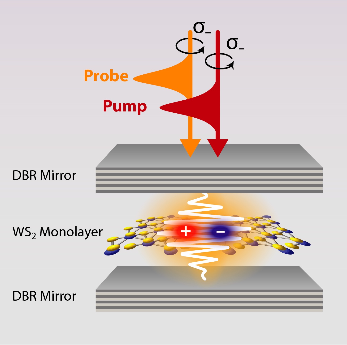 Controlling Hybrid States of Light and Matter in Atomically-thin Semiconductors