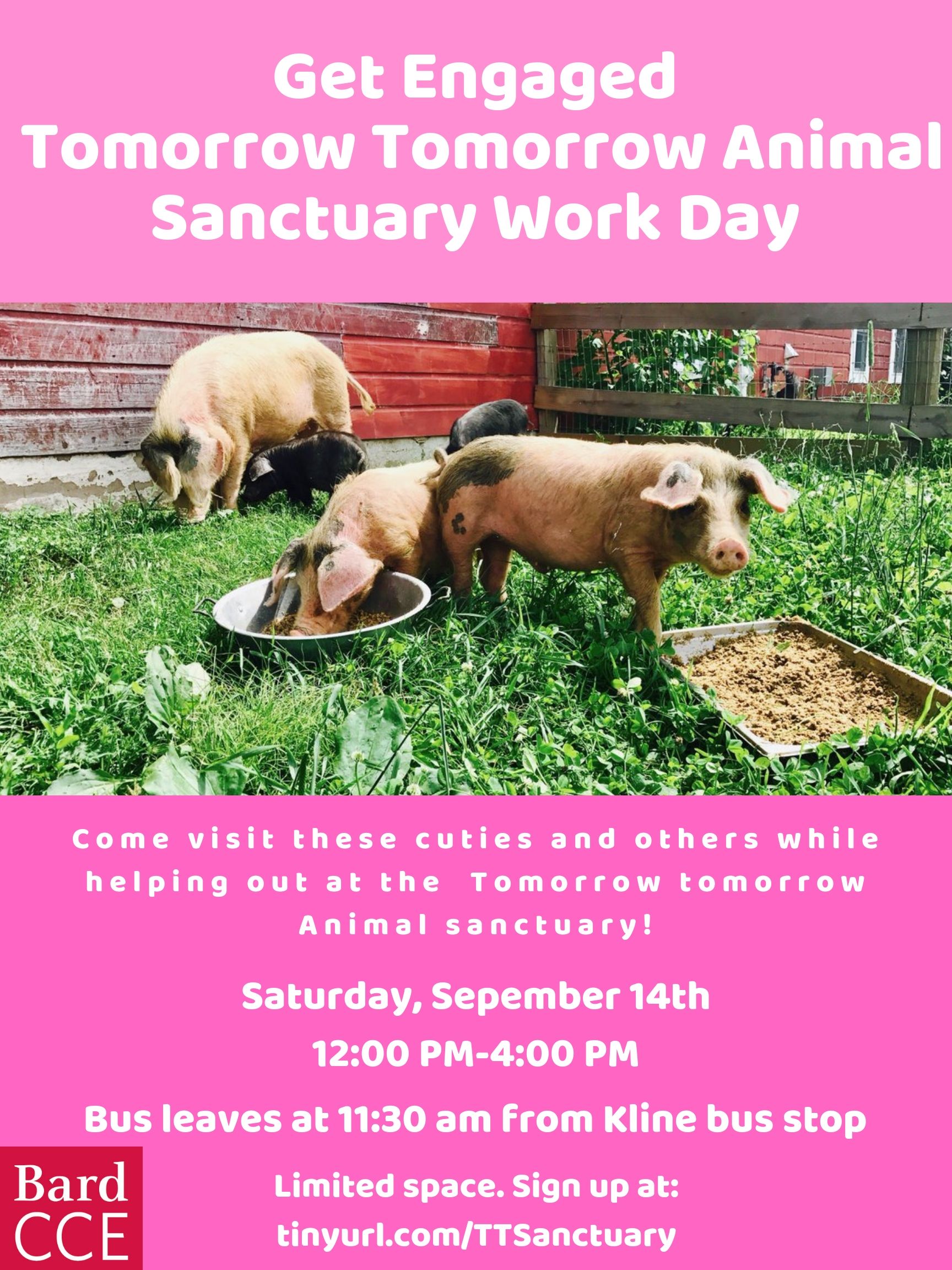 Tomorrow Tomorrow Animal Sanctuary Work Day
