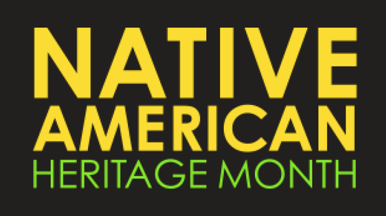 National Native American Heritage Month Library Display