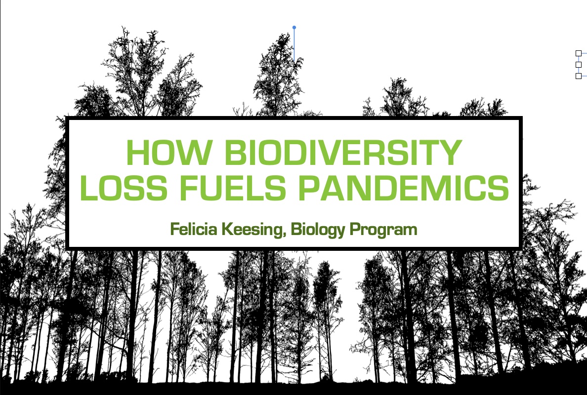 How Biodiversity Loss Fuels Pandemics