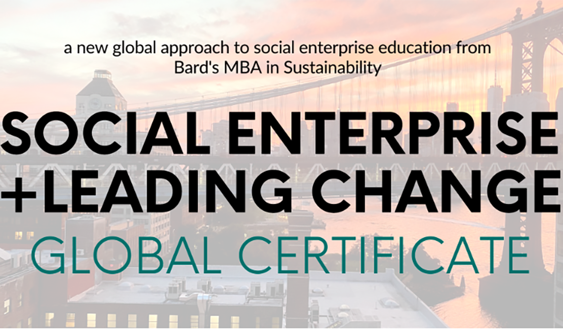 Virtual Launch Event:&nbsp;Global Certificate in Social Enterprise and Leading Change