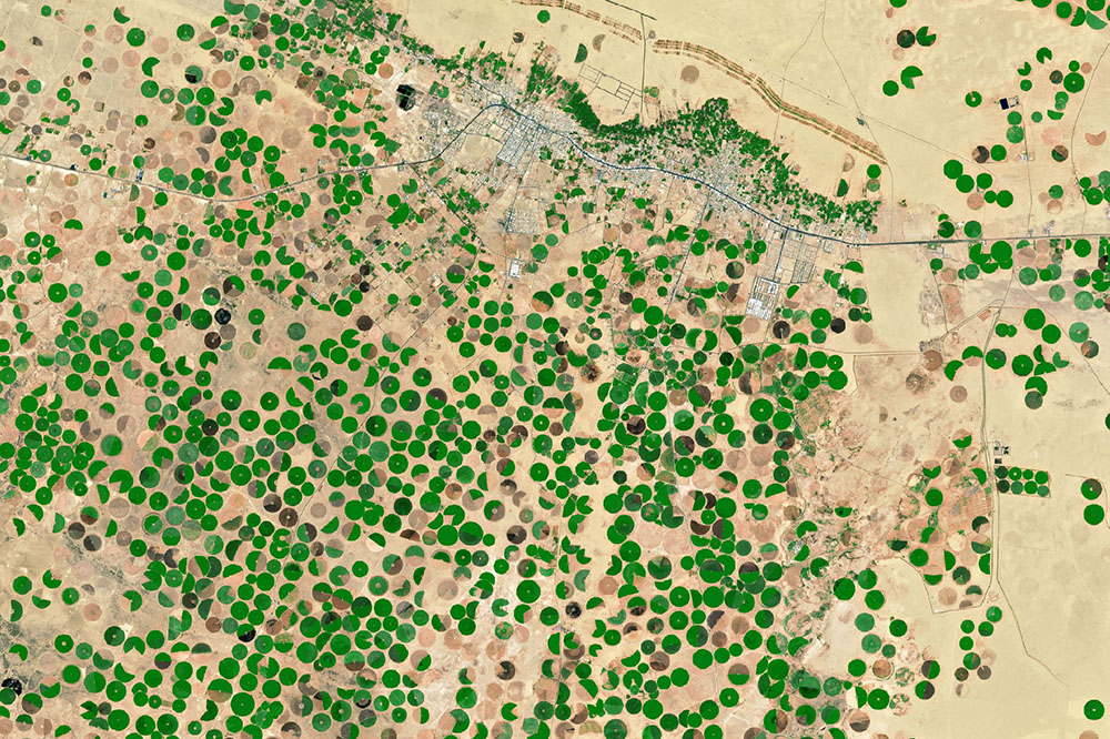 FAO&rsquo;s Application of Geospatial Data to Inform Decision Making
