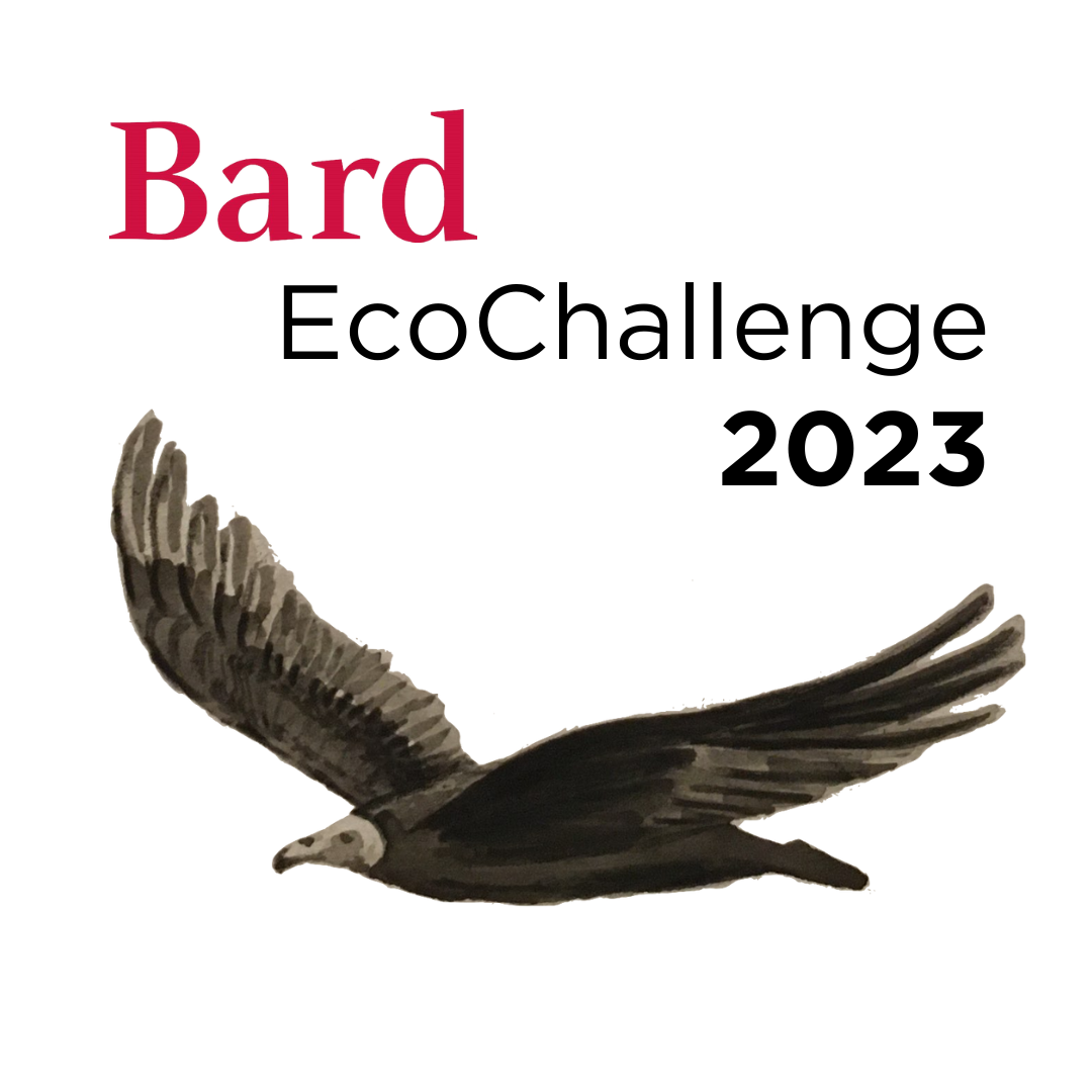 EcoChallenge Fair: Spring into Action for Sustainability
