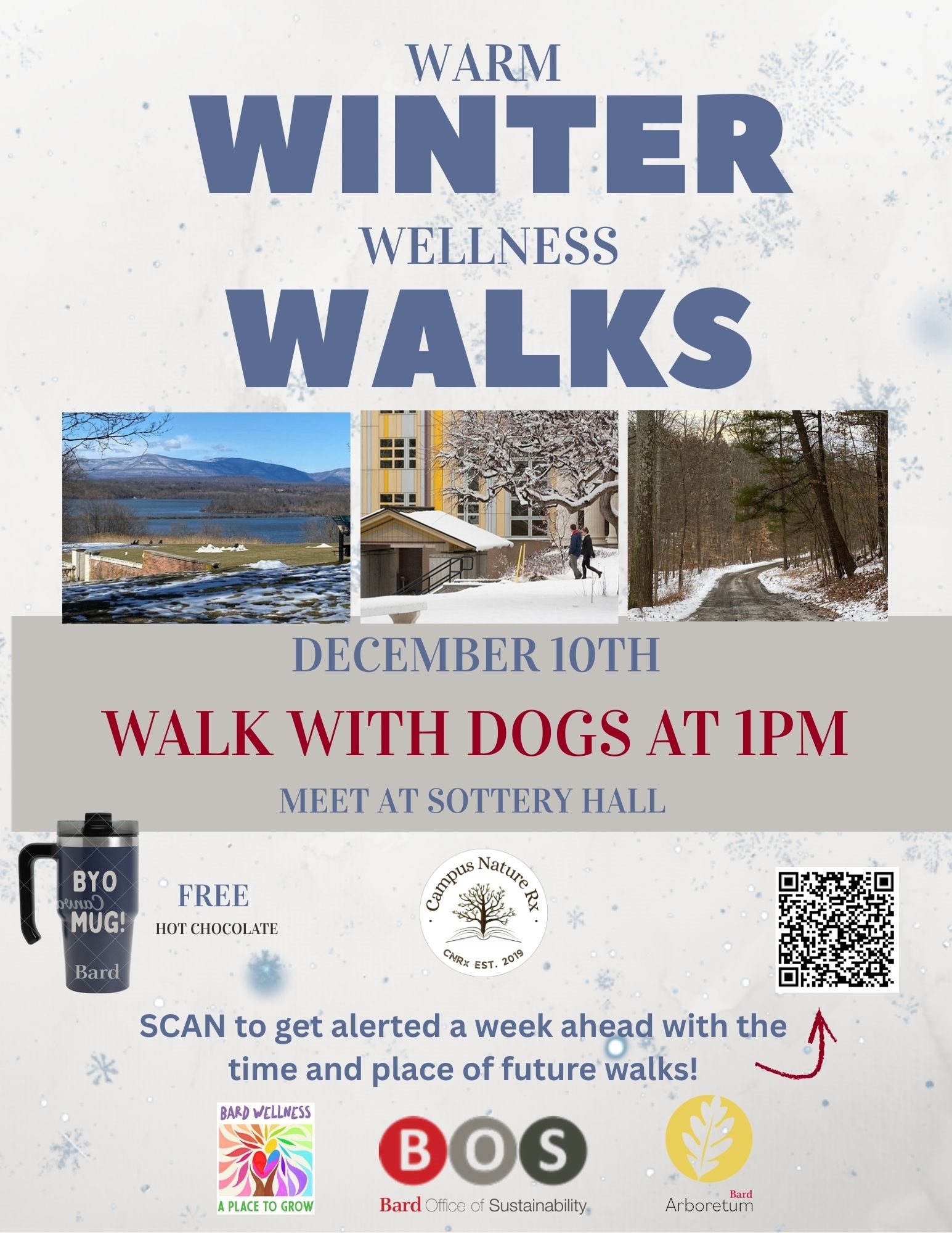 Warm Winter Wellness Walks With Dogs