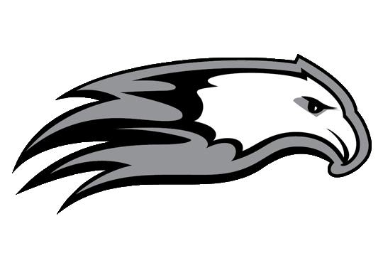 Men's Volleyball Matches