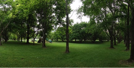 Mark R. Eischeid, Asst. Professor of Landscape Architecture, University of Oregon