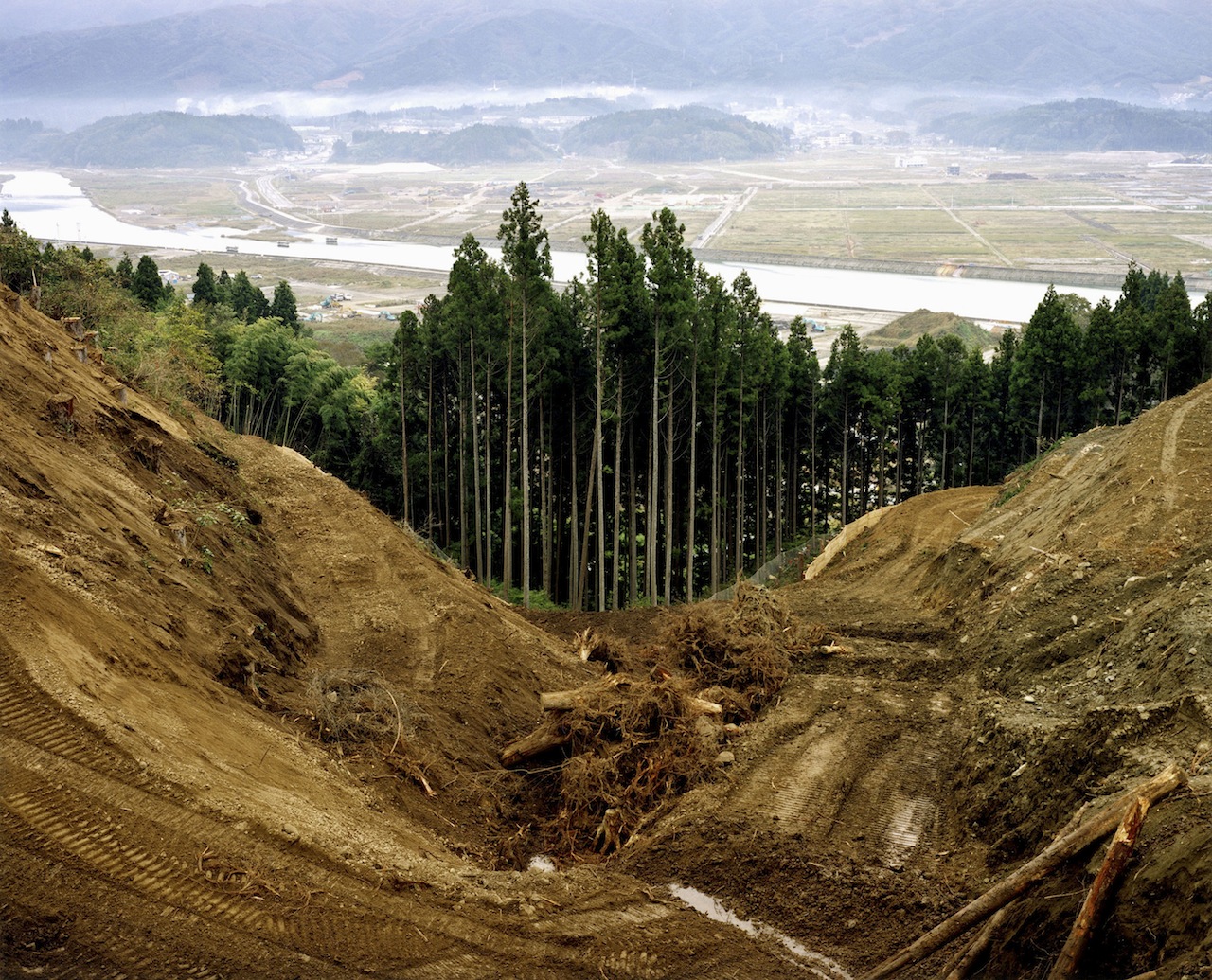 Brave New Sanriku: Recovering from Japan's Triple Disaster
