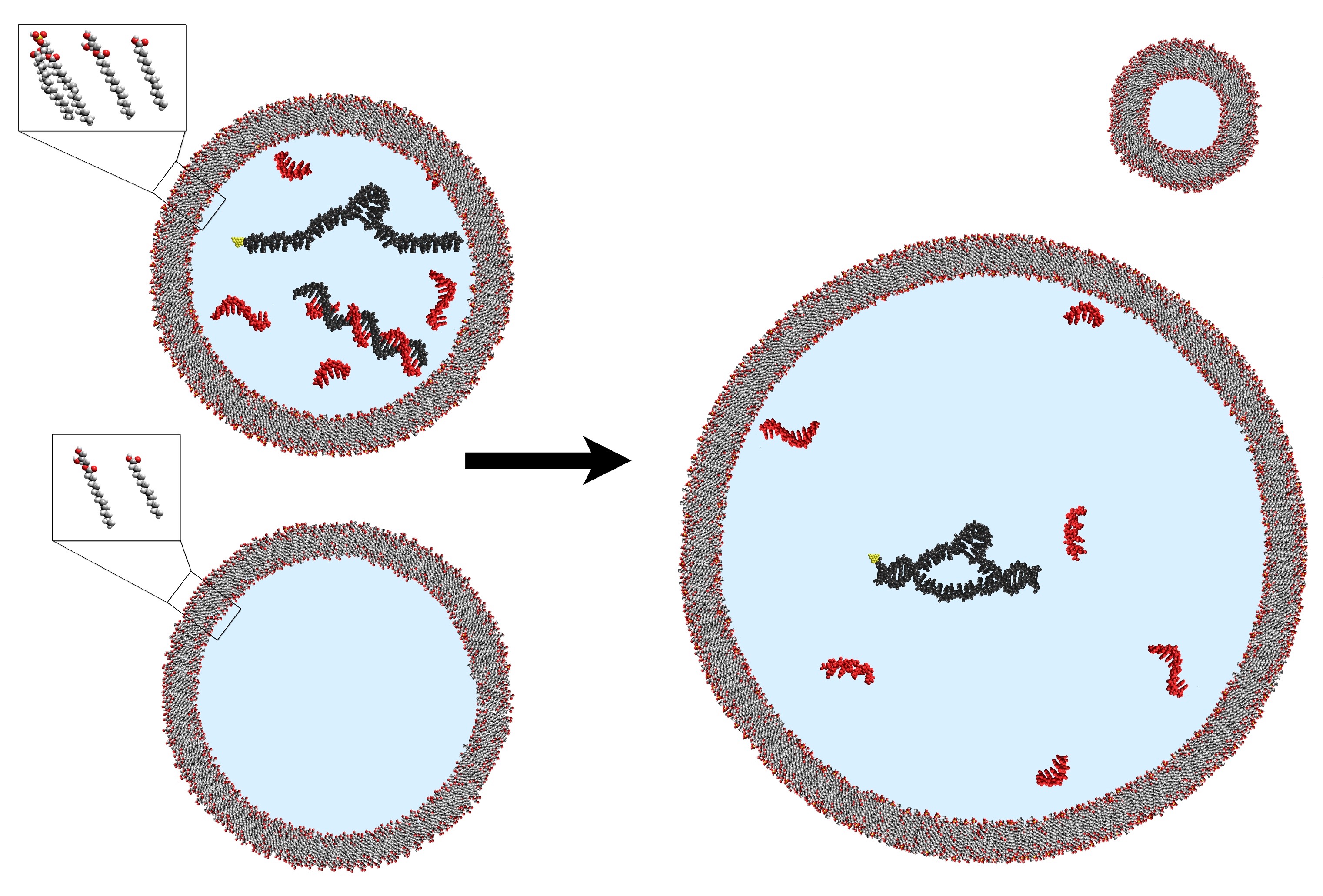 Minimal Cellular Systems: From Catalysts in Compartments to  Life as We Know It