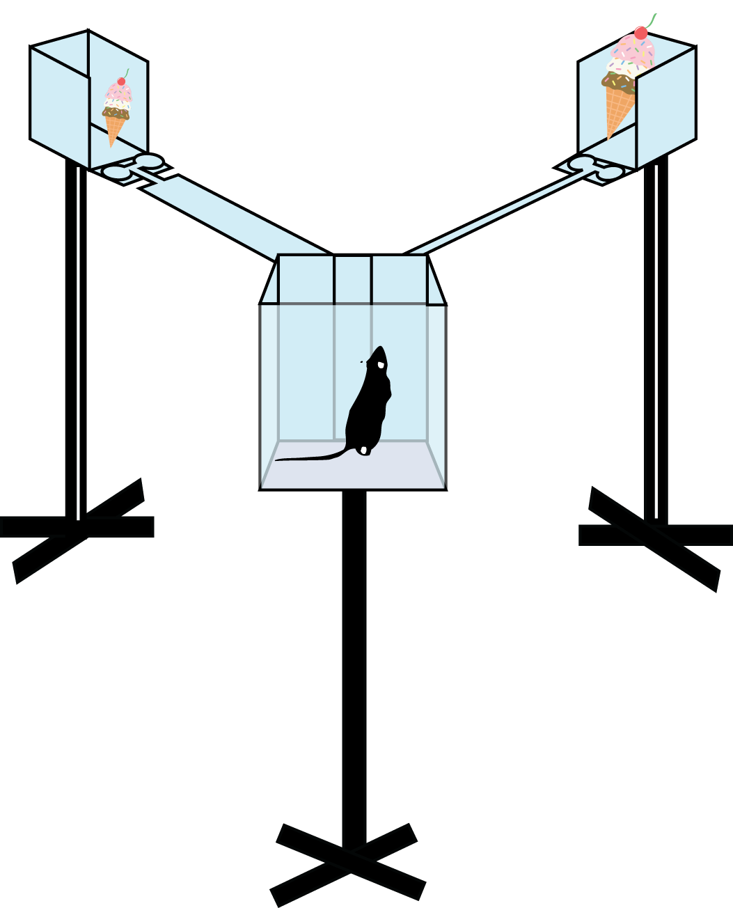 Two Diverging Roads Differing in Risk and Reward