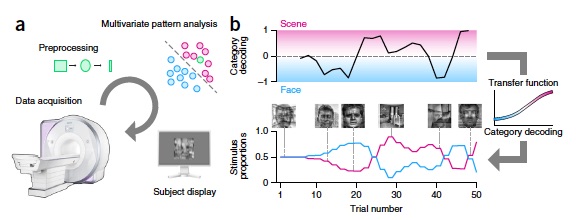 How Context Shapes Memory: Tracking Contextual Drift  Using Functional MRI