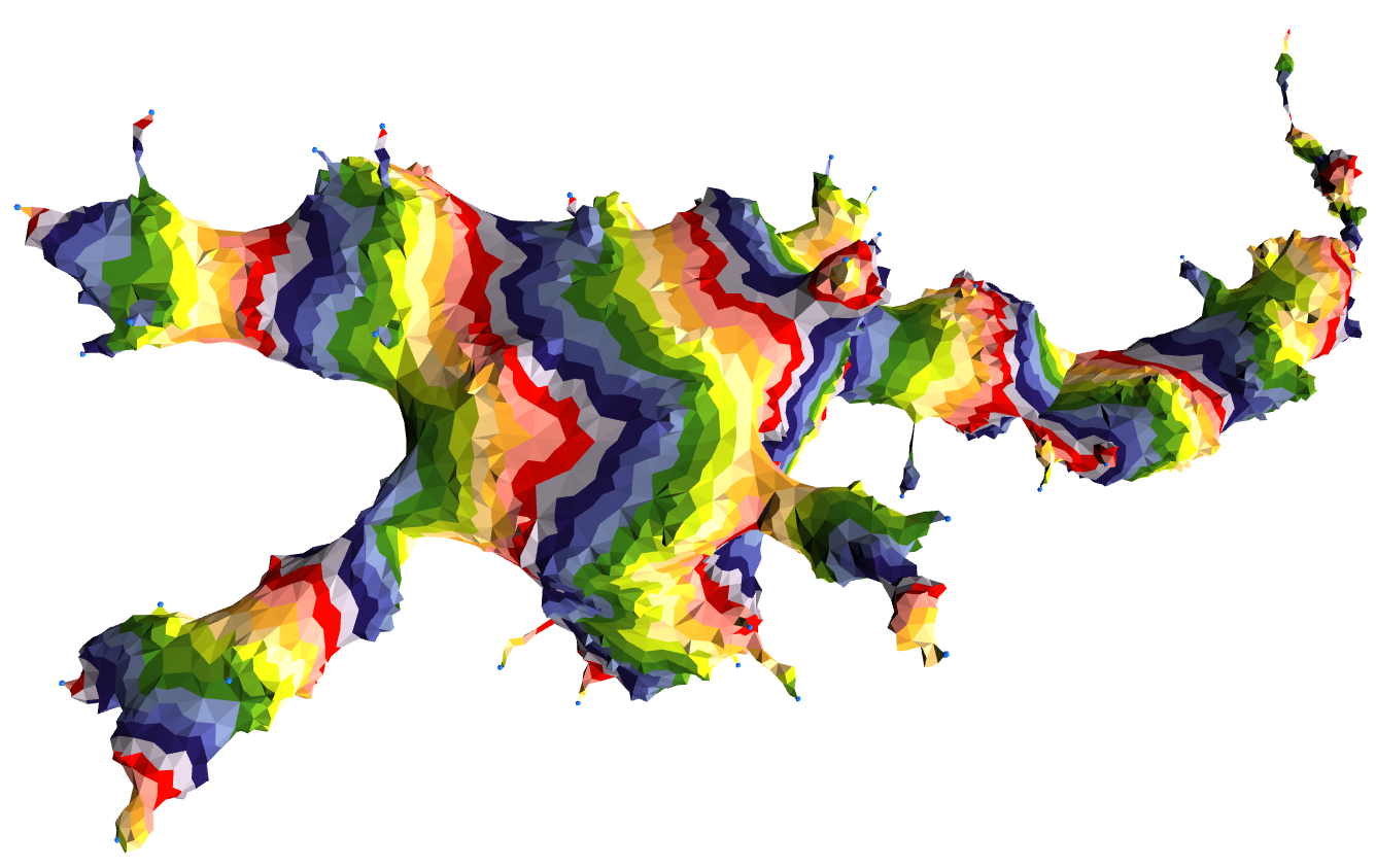 Visualizing Quantum Gravity:A pictorial introduction to causal dynamical triangulations