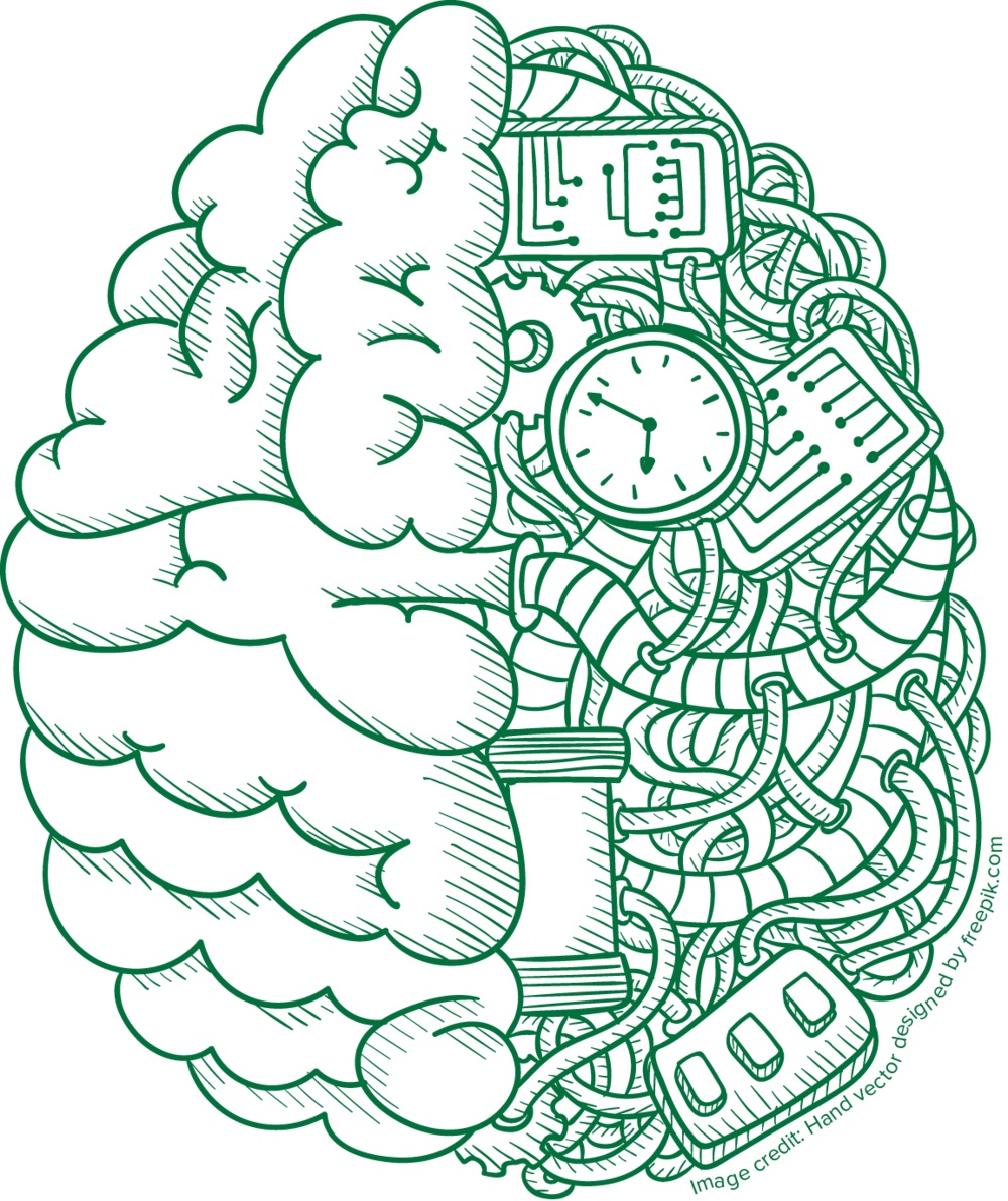 Efficient Learning:What are the Limits of Human Memory?