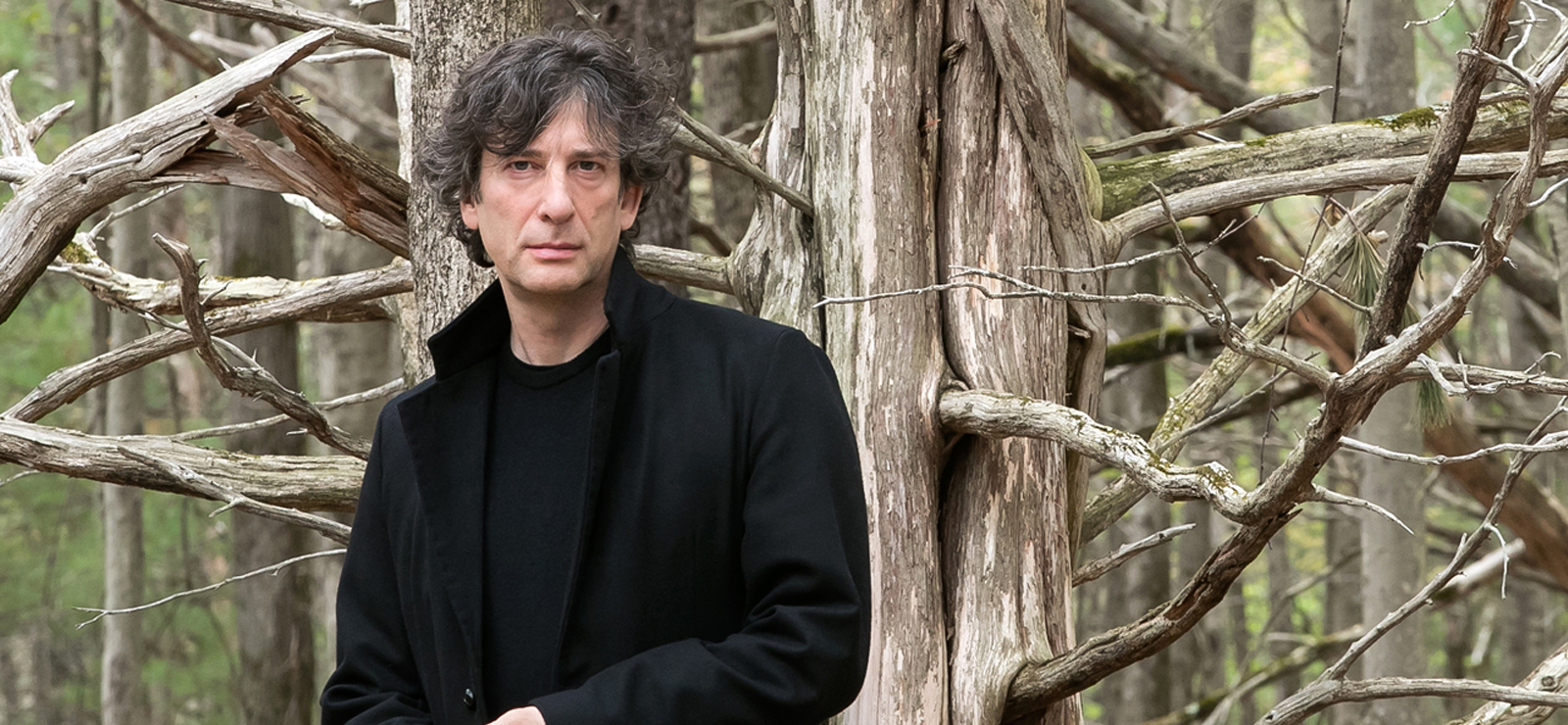 Photo by Beowulf Sheehan