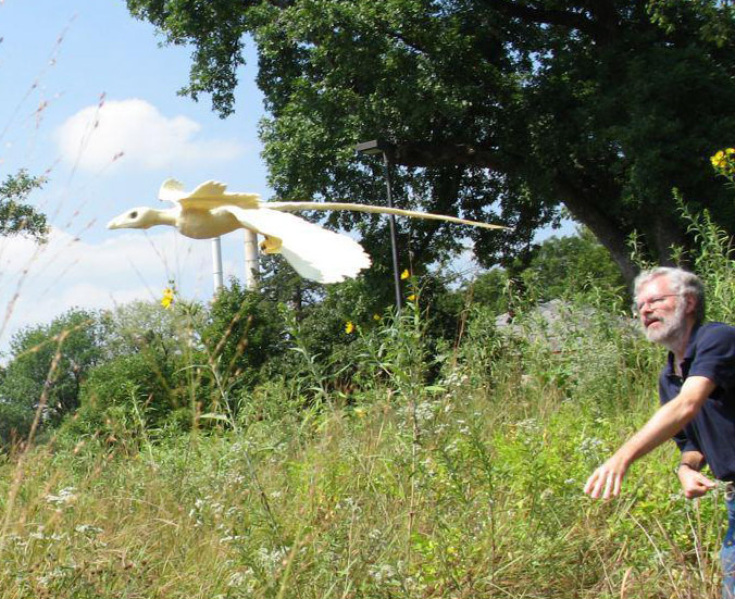 The Evolution of Animal Flight From a Biomechanics Perspective