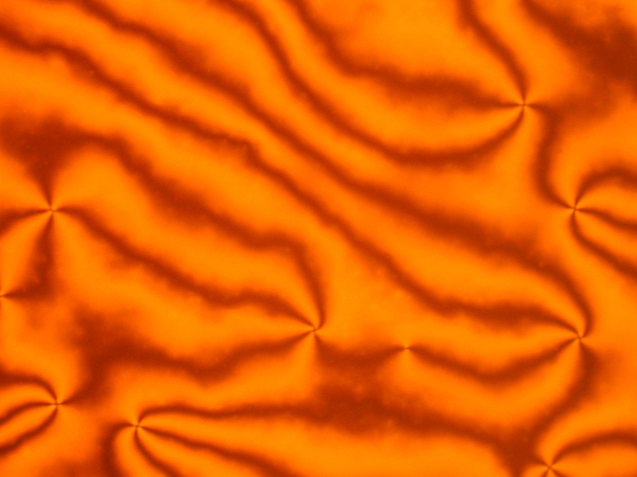 Water-Based Liquid Crystals:&nbsp;Ordered Fluids with Unusual Properties and Significant Potential for Applications