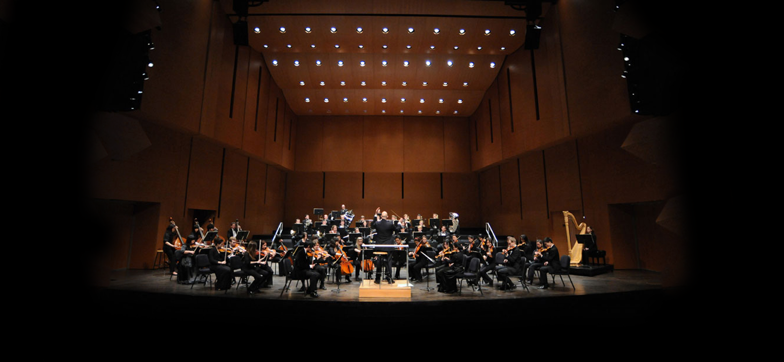 Conservatory Orchestra performs Strauss and Berlioz