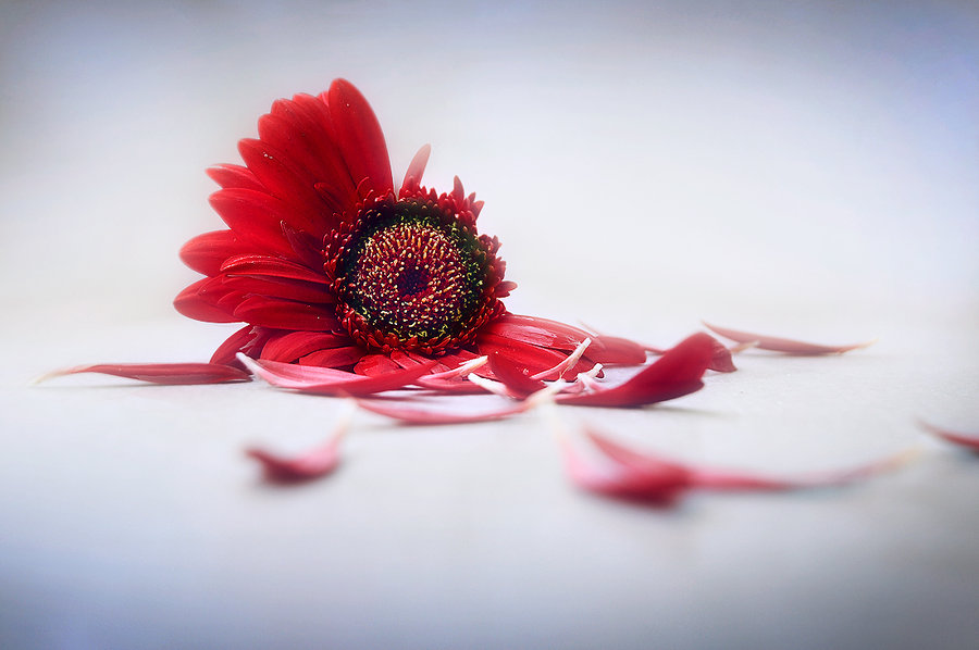 Rufus M&uuml;ller's Performance Class: &ldquo;&nbsp;NOT&nbsp;LOVE ACTUALLY!&rdquo;