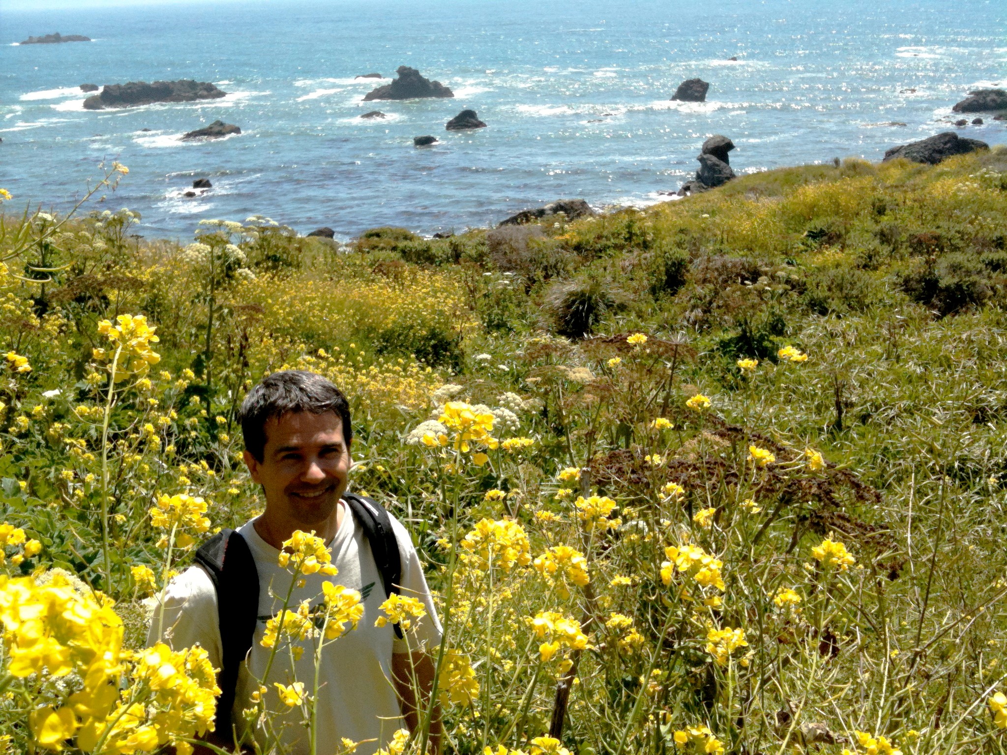 Evolutionary Responses to Climate Change Revealed by the Resurrection Approach