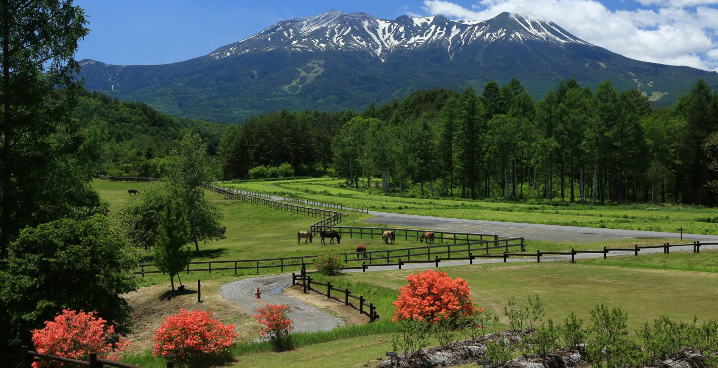 (Re)creating Forest Natures: A Political Ecology of Ecotourism in Japan's Central Highlands