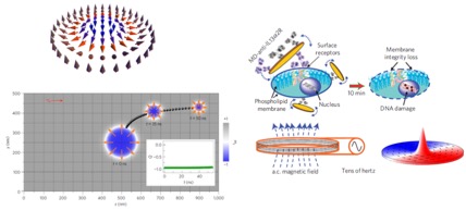 Magnetic Nanostructures for Data Storage and Biomedical Applications